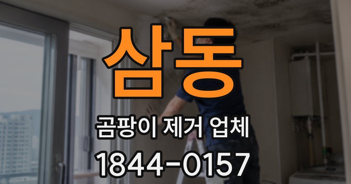 삼동 곰팡이 제거 업체