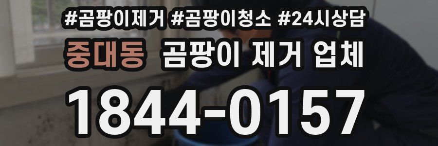 중대동 곰팡이 제거 업체