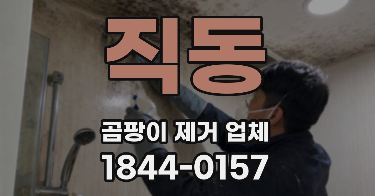 직동 곰팡이 제거 업체