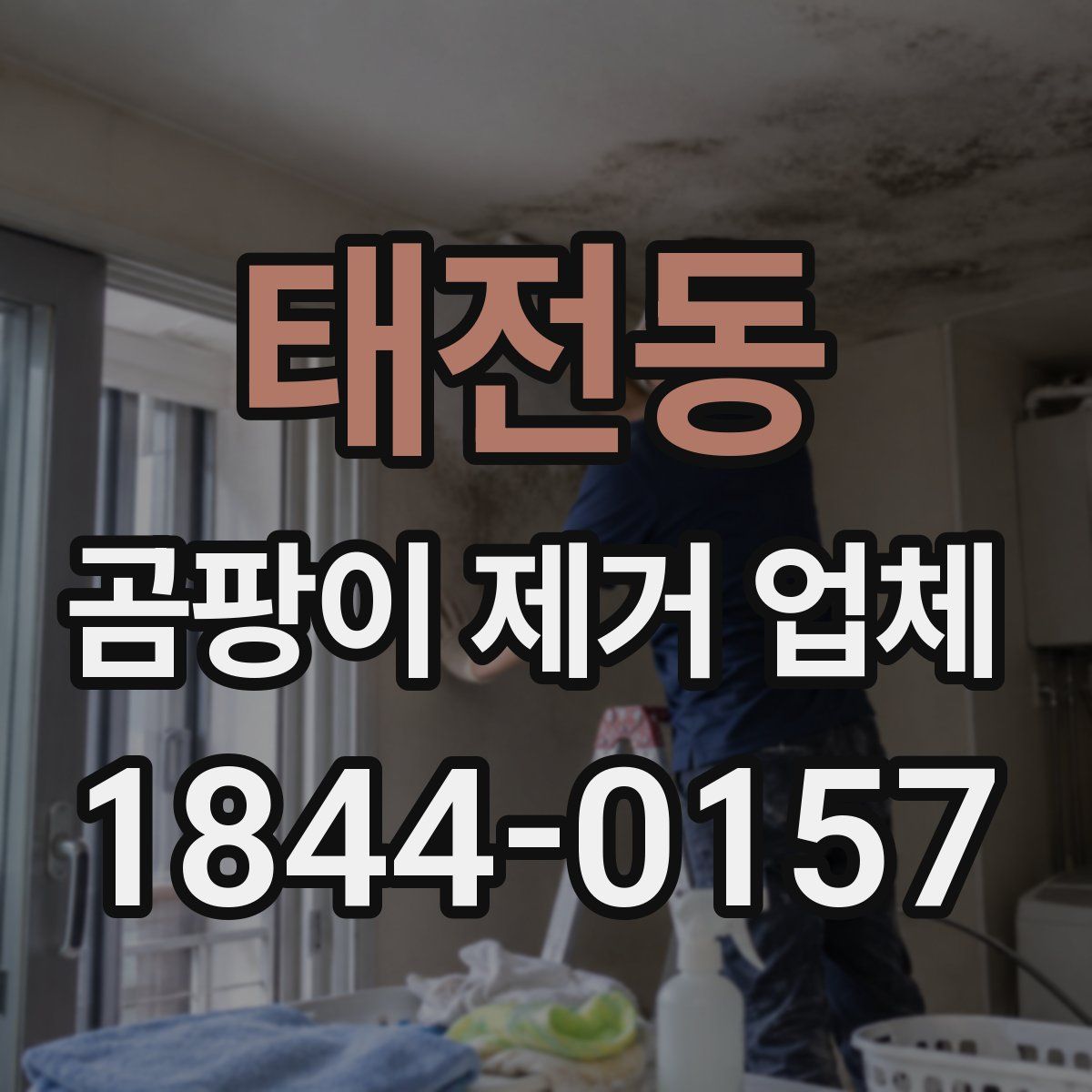 태전동 곰팡이 제거 업체