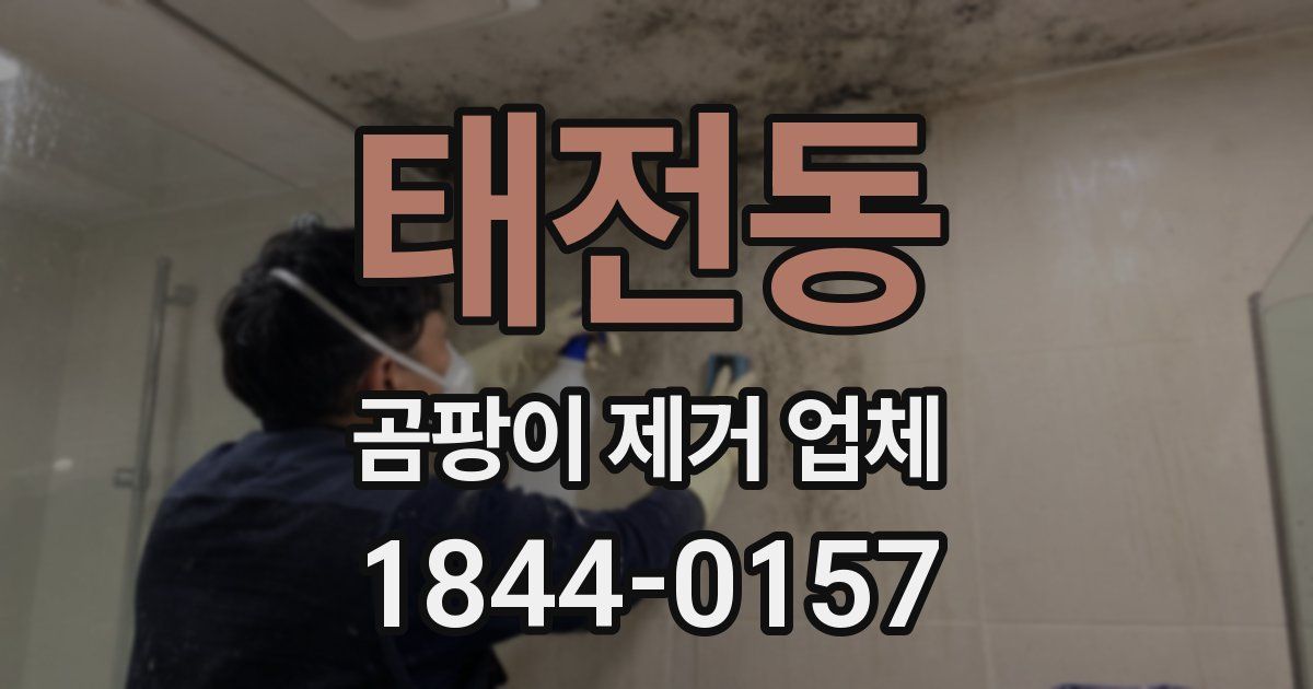 태전동 곰팡이 제거 업체