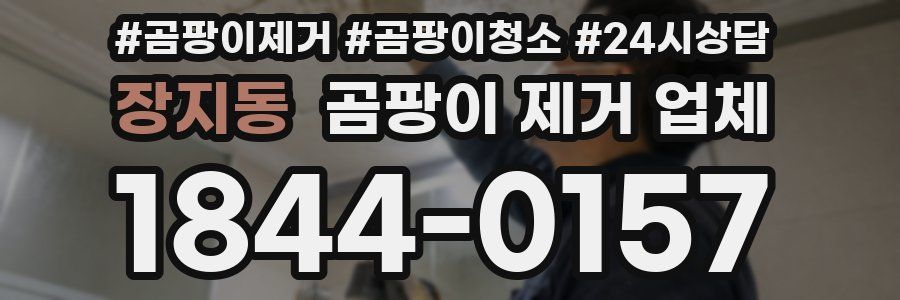 장지동 곰팡이 제거 업체