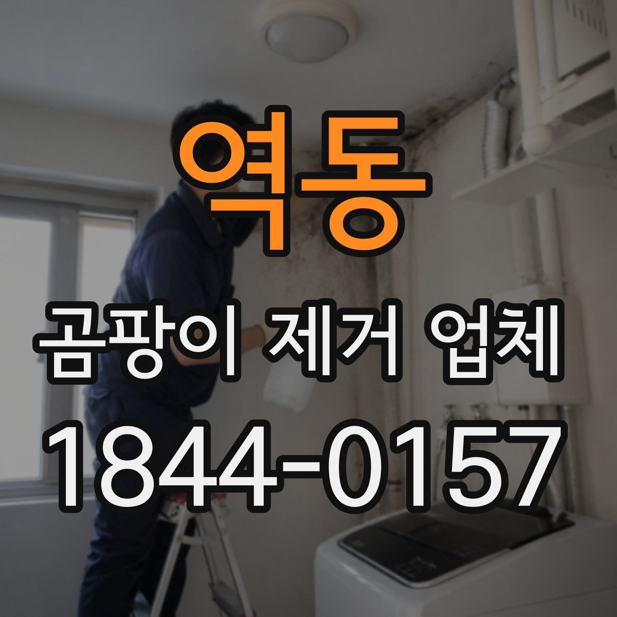 역동 곰팡이 제거 업체 집주인 상담 전에 준비하면 좋은 점검 자료