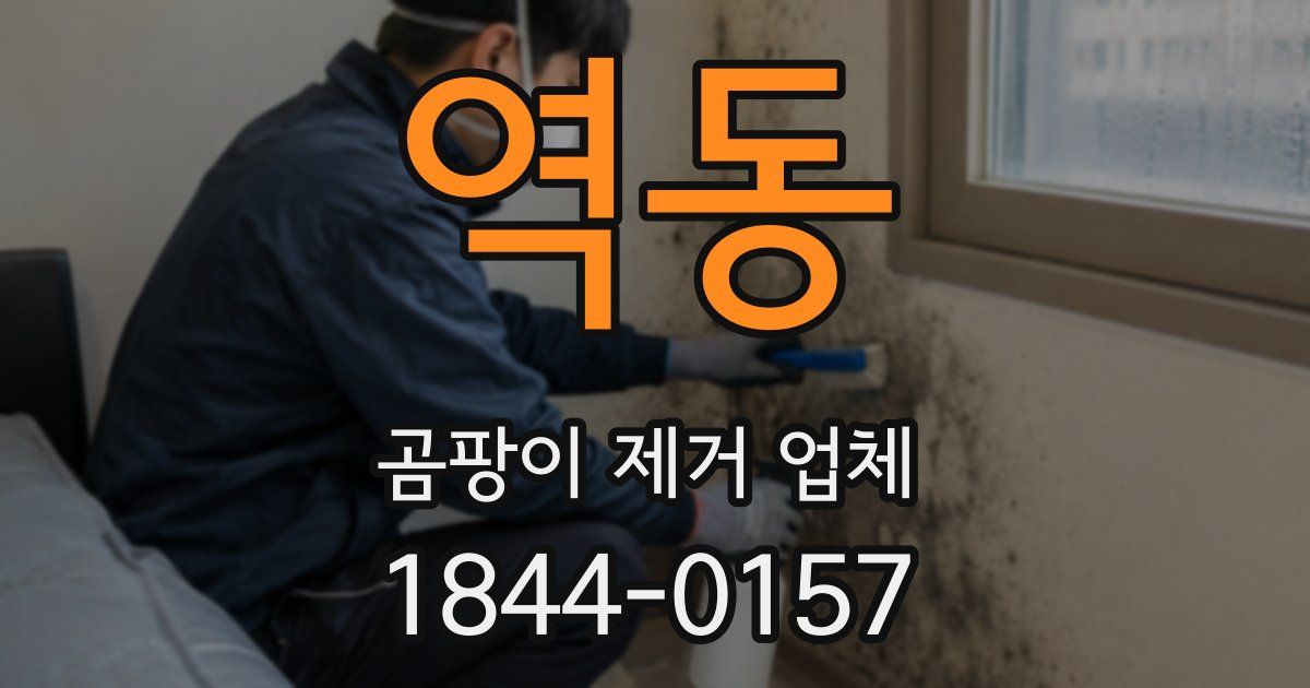 역동 곰팡이 제거 업체