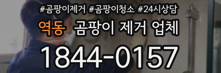 역동 곰팡이 제거 업체