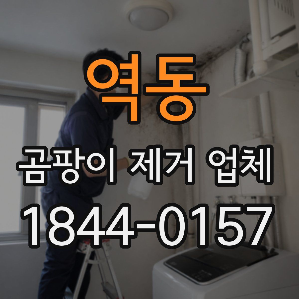 역동 곰팡이 제거 업체