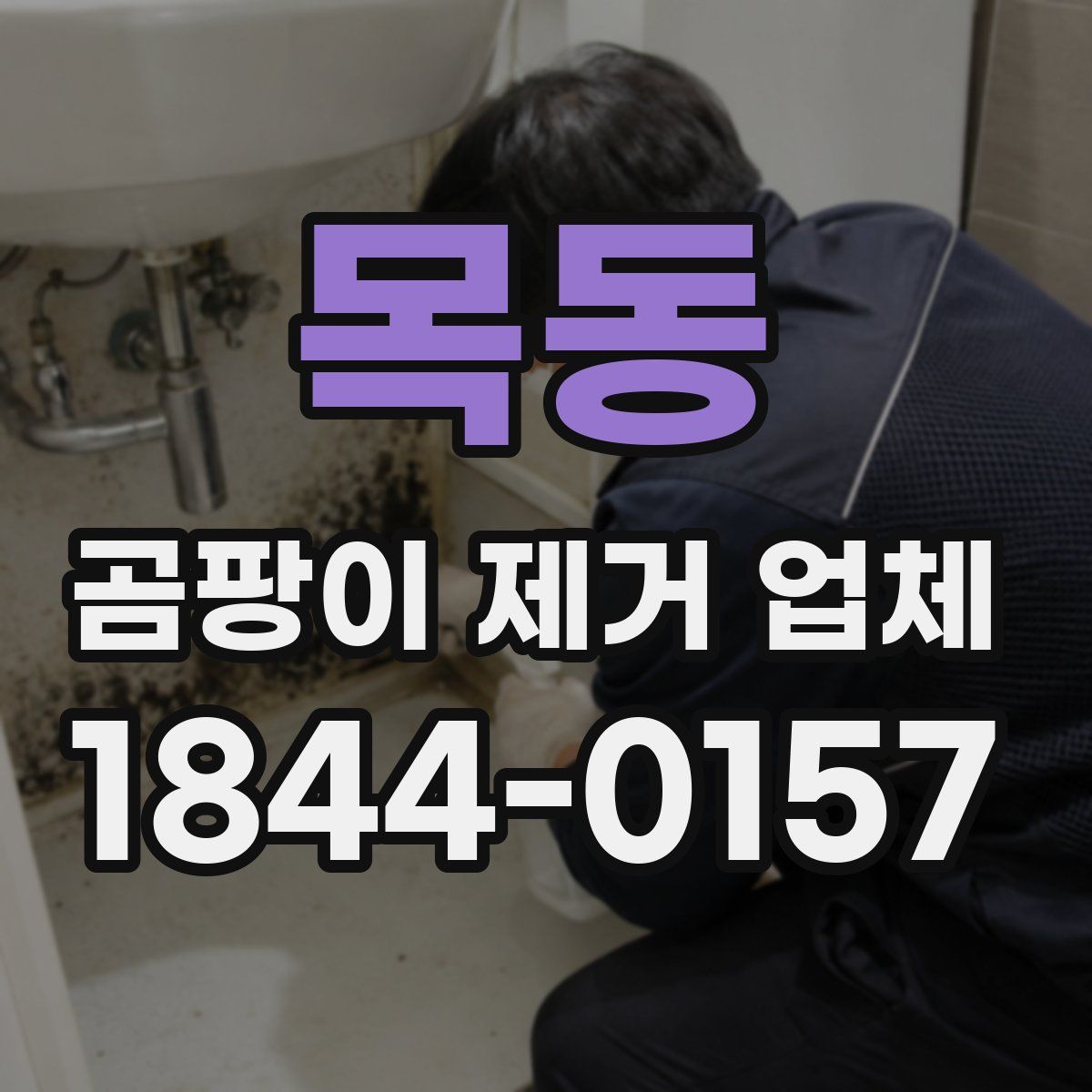 목동 곰팡이 제거 업체