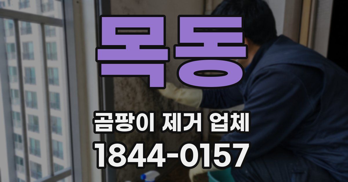 목동 곰팡이 제거 업체