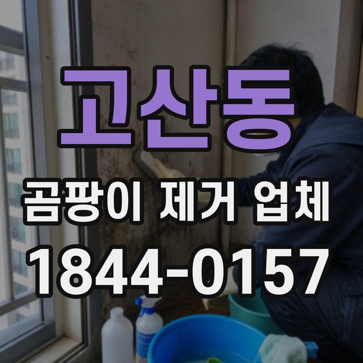 고산동 곰팡이 제거 업체