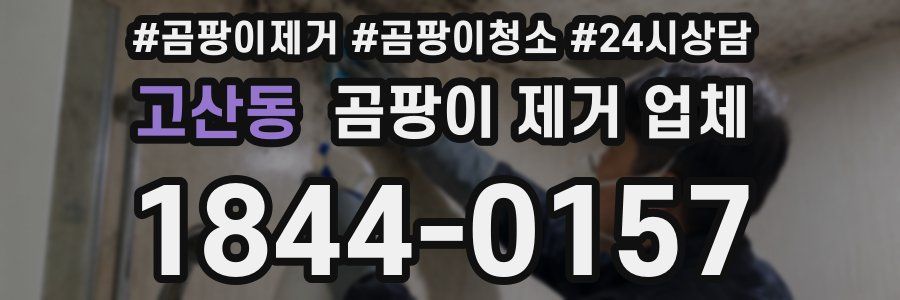 고산동 곰팡이 제거 업체