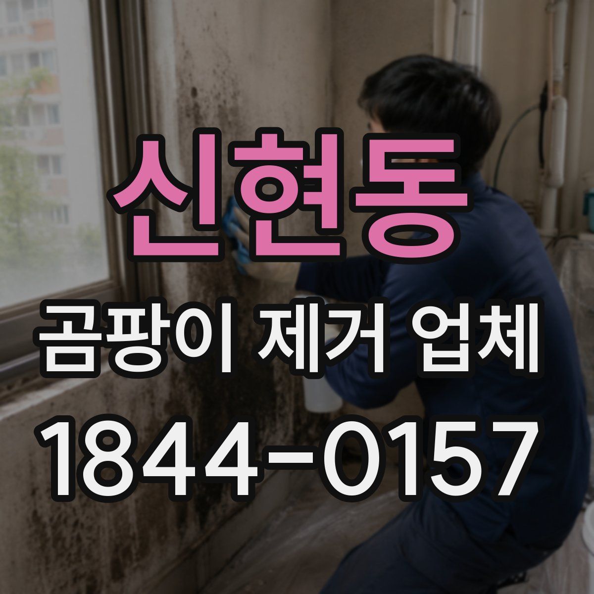 신현동 곰팡이 제거 업체