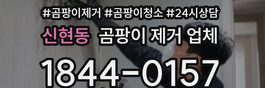 신현동 곰팡이 제거 업체