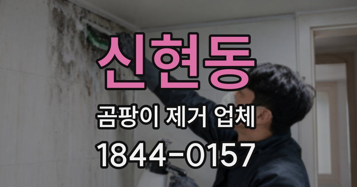 신현동 곰팡이 제거 업체