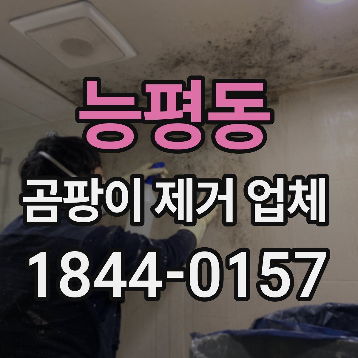 능평동 곰팡이 제거 업체 임대 주택 비용 협의 전 체크할 항목