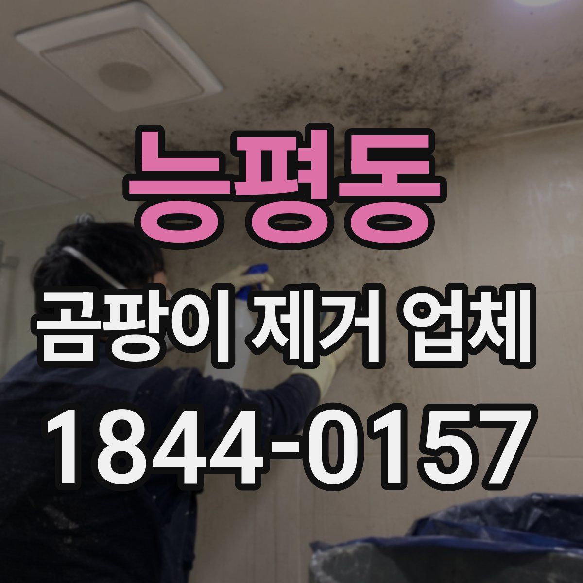 능평동 곰팡이 제거 업체