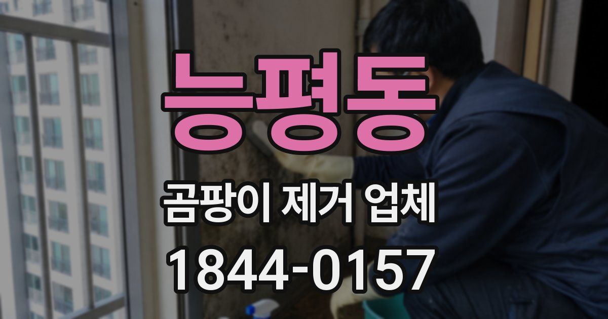 능평동 곰팡이 제거 업체