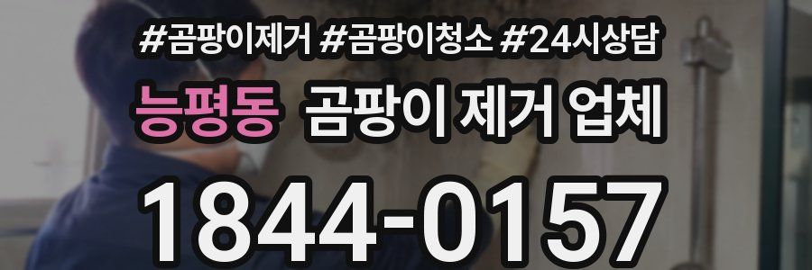 능평동 곰팡이 제거 업체