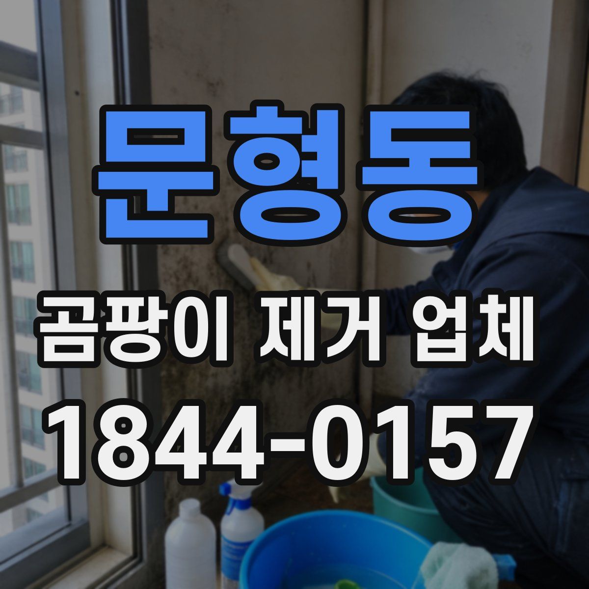 문형동 곰팡이 제거 업체