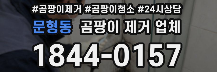 문형동 곰팡이 제거 업체