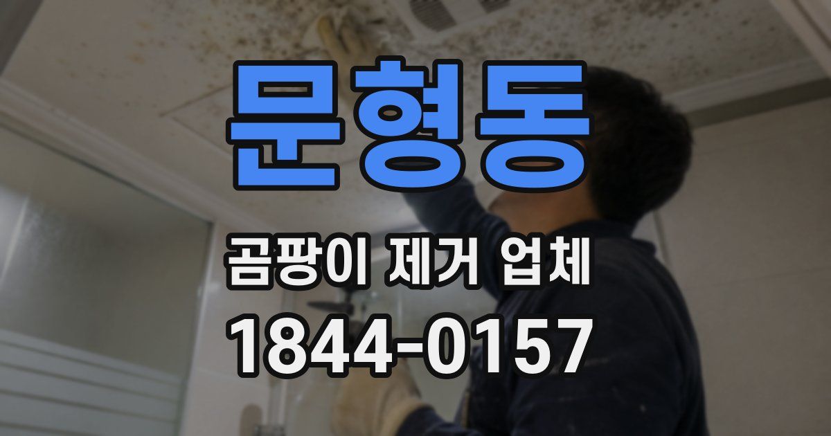 문형동 곰팡이 제거 업체