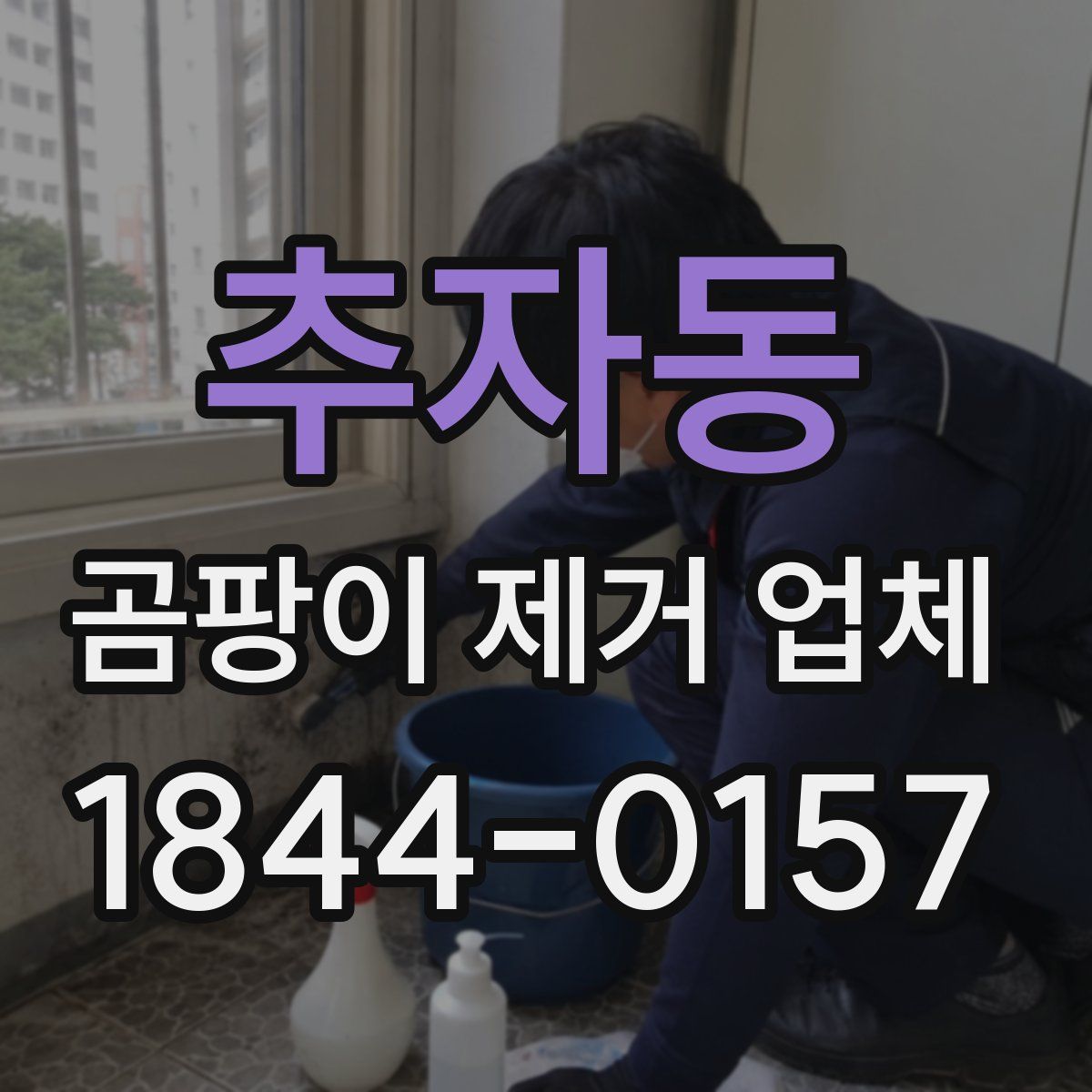 추자동 곰팡이 제거 업체