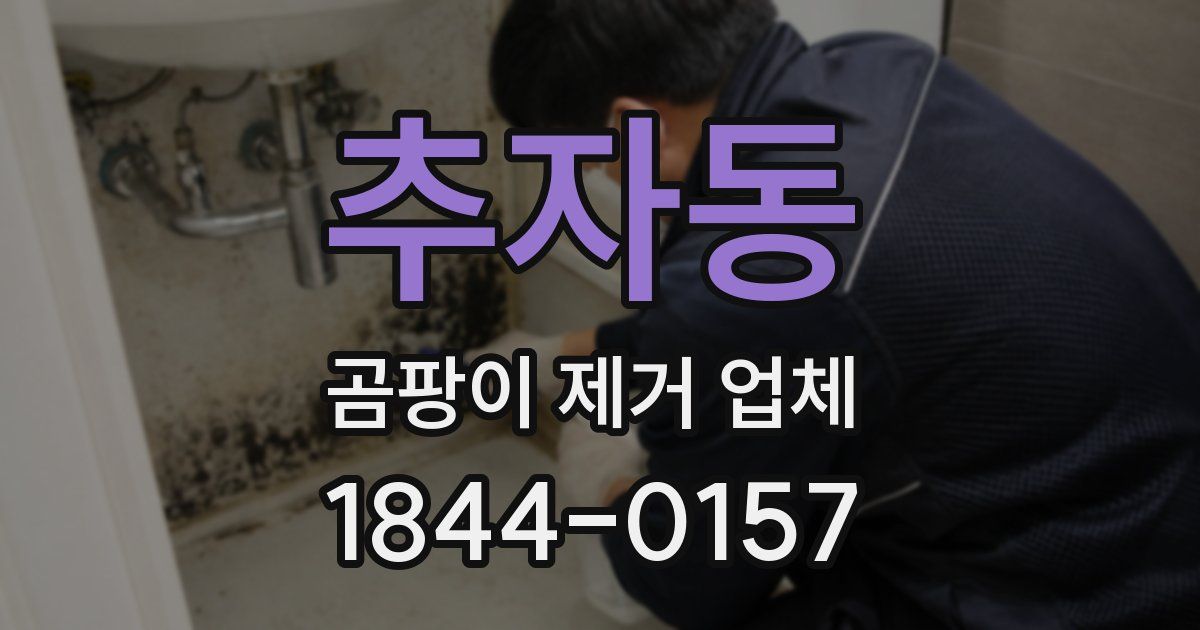 추자동 곰팡이 제거 업체