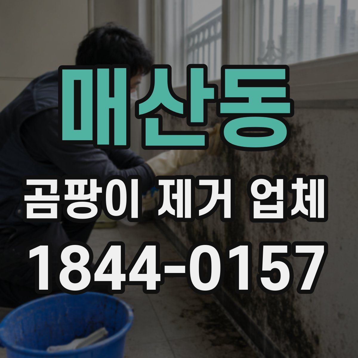 매산동 곰팡이 제거 업체
