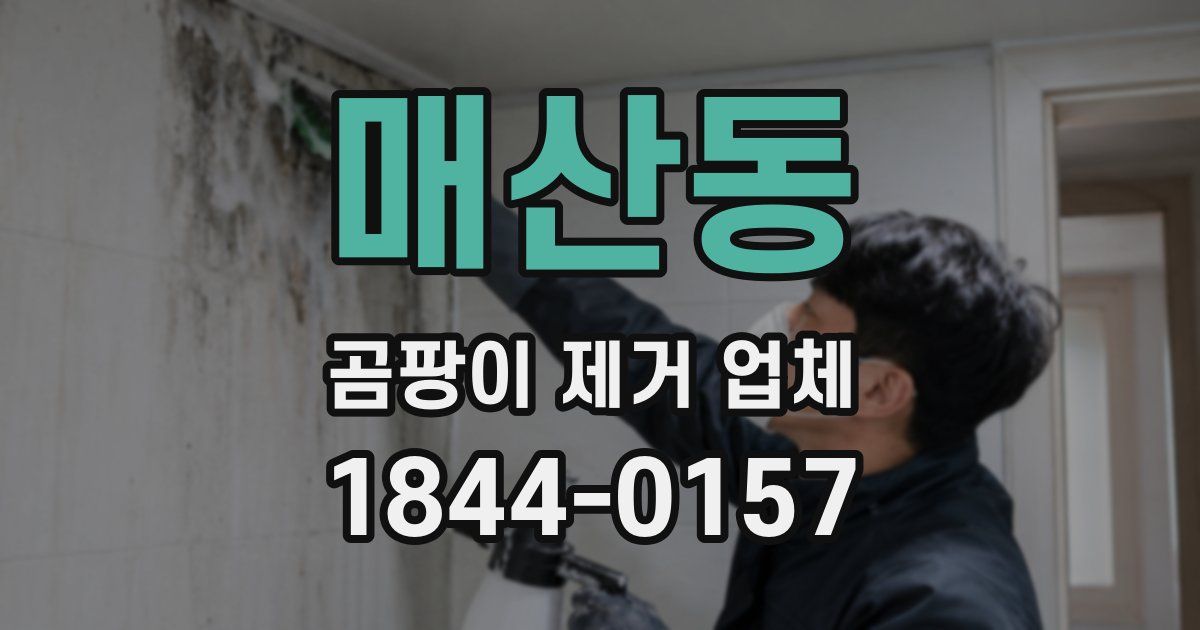 매산동 곰팡이 제거 업체