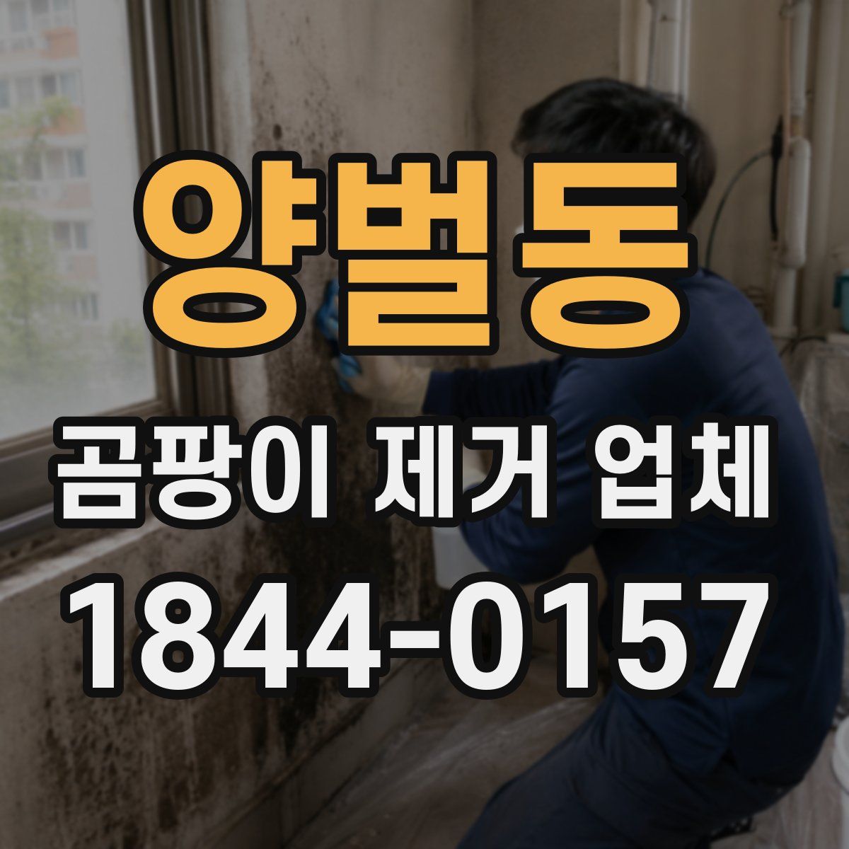양벌동 곰팡이 제거 업체