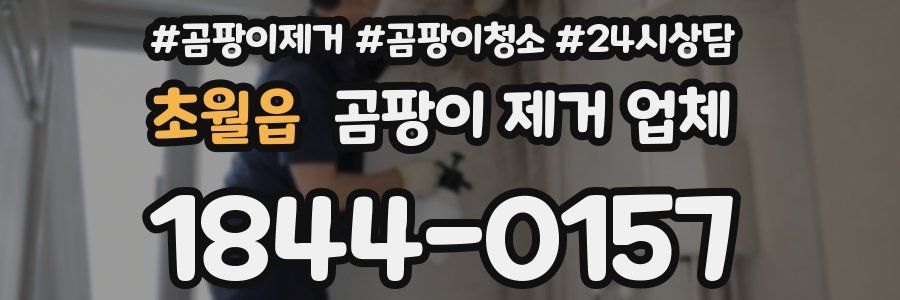 초월읍 곰팡이 제거 업체