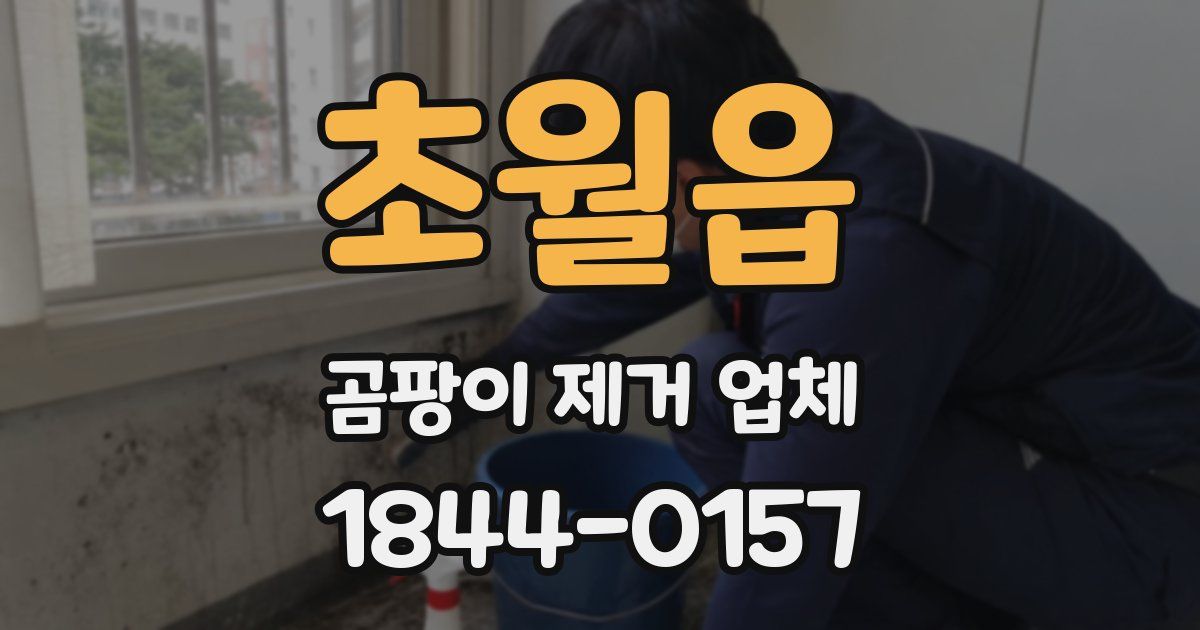 초월읍 곰팡이 제거 업체