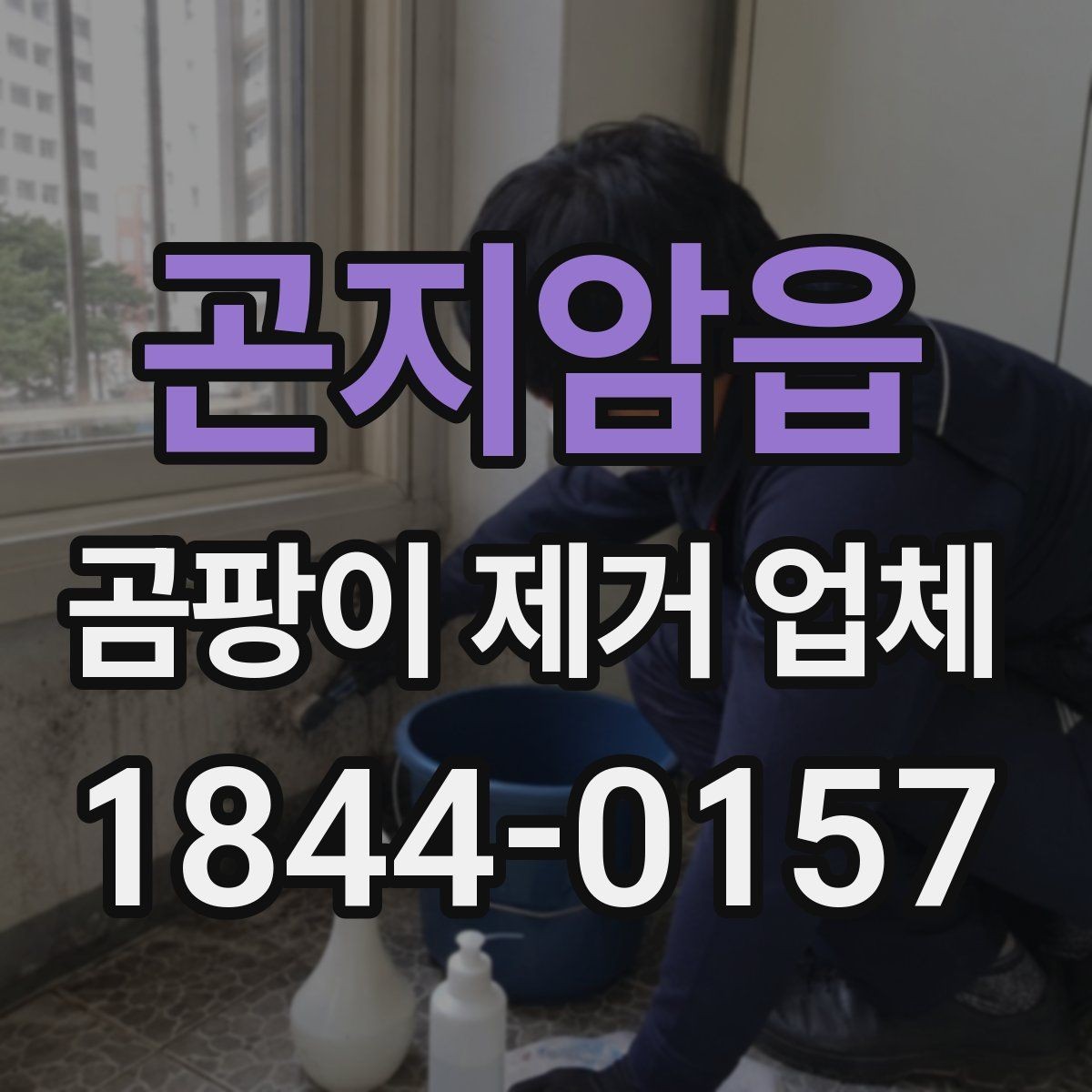 곤지암읍 곰팡이 제거 업체 세대별 오염 확산 경로를 확인하는 절차