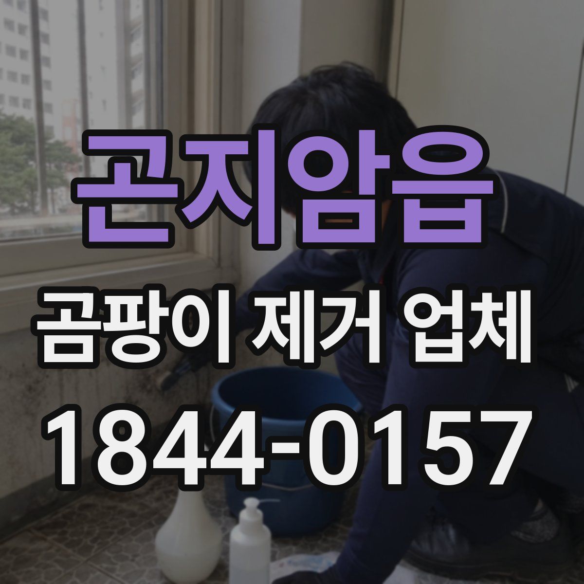 곤지암읍 곰팡이 제거 업체