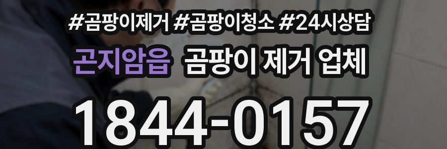 곤지암읍 곰팡이 제거 업체