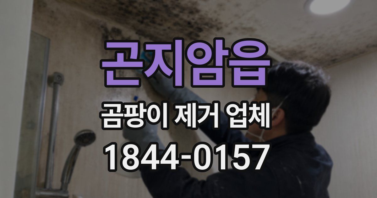 곤지암읍 곰팡이 제거 업체