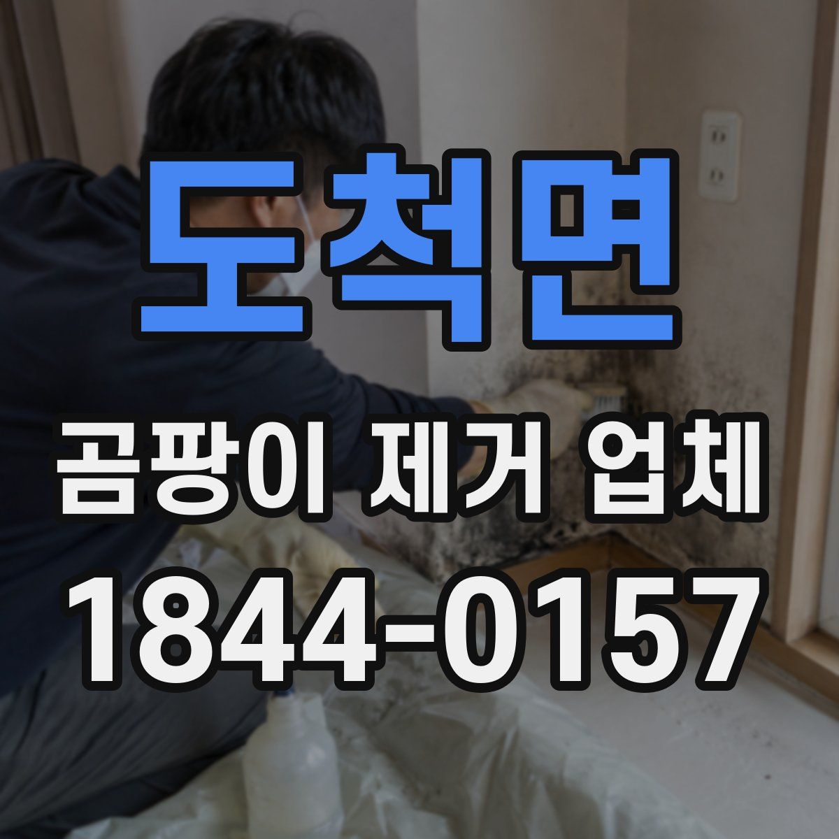 도척면 곰팡이 제거 업체