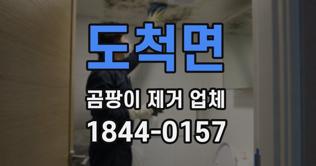 도척면 곰팡이 제거 업체