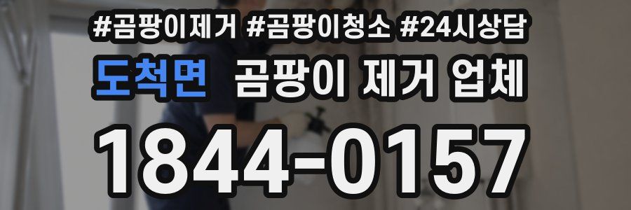 도척면 곰팡이 제거 업체
