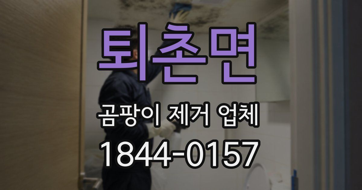퇴촌면 곰팡이 제거 업체