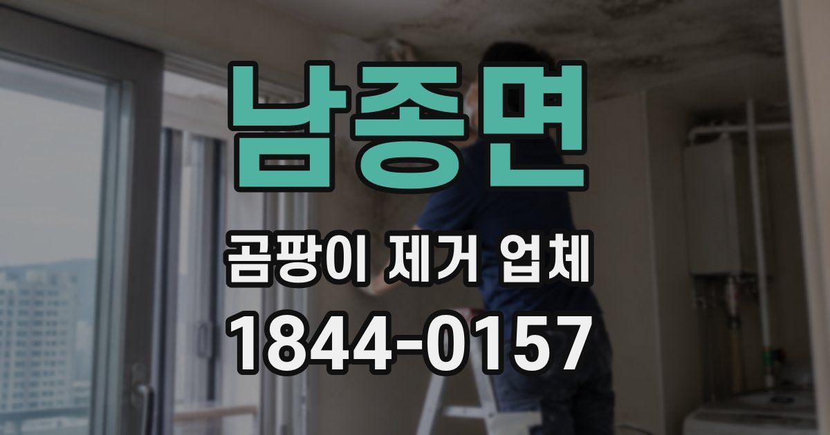 남종면 곰팡이 제거 업체