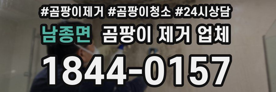 남종면 곰팡이 제거 업체