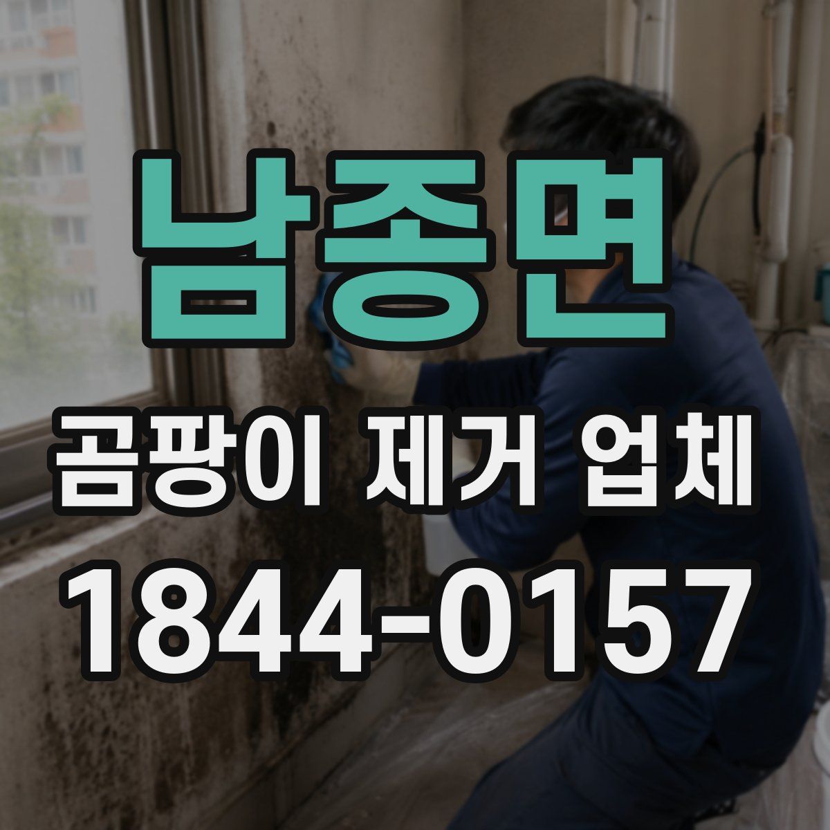 남종면 곰팡이 제거 업체