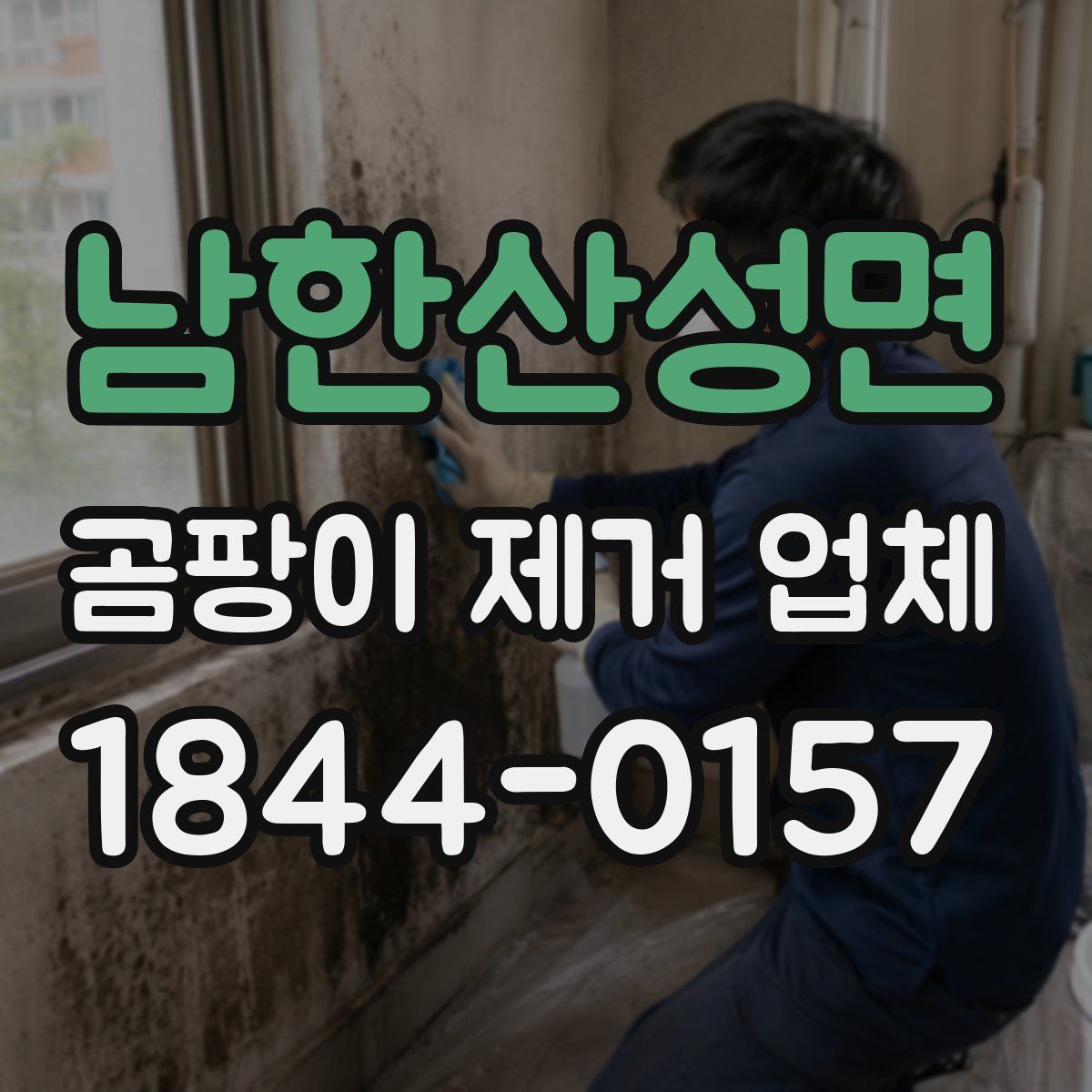남한산성면 곰팡이 제거 업체