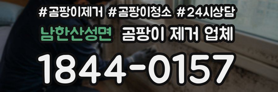 남한산성면 곰팡이 제거 업체