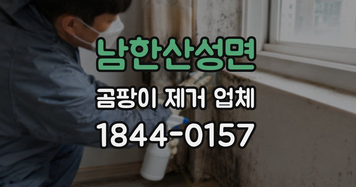 남한산성면 곰팡이 제거 업체