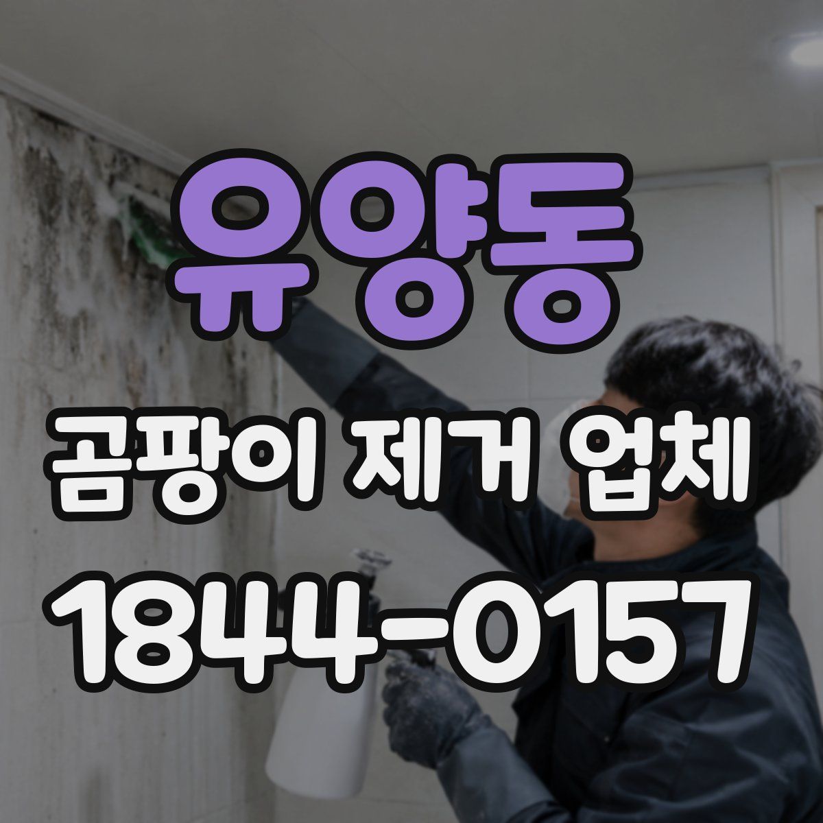 유양동 곰팡이 제거 업체