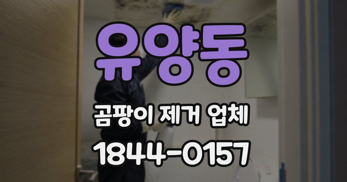 유양동 곰팡이 제거 업체