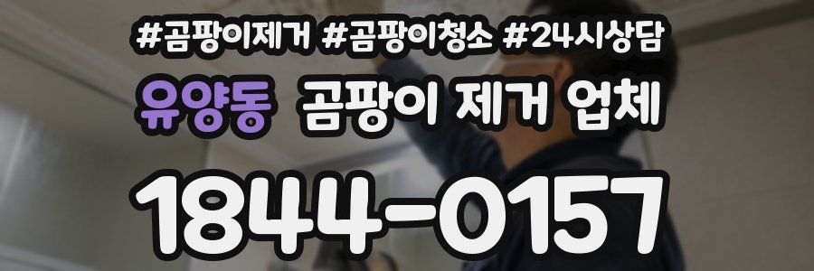 유양동 곰팡이 제거 업체