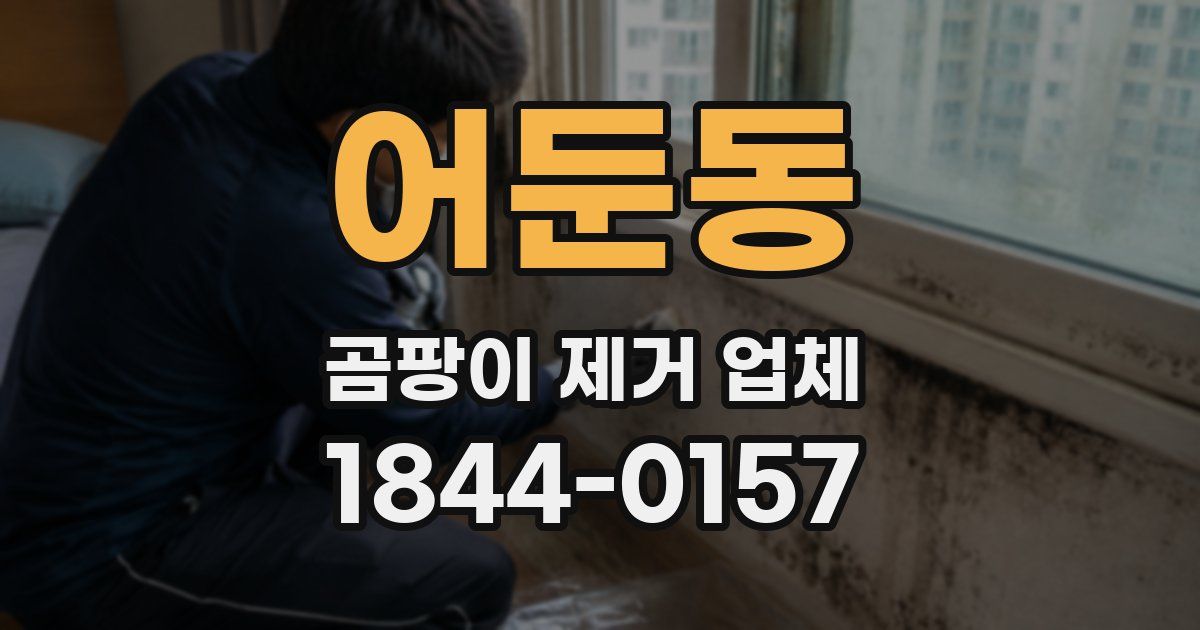 어둔동 곰팡이 제거 업체