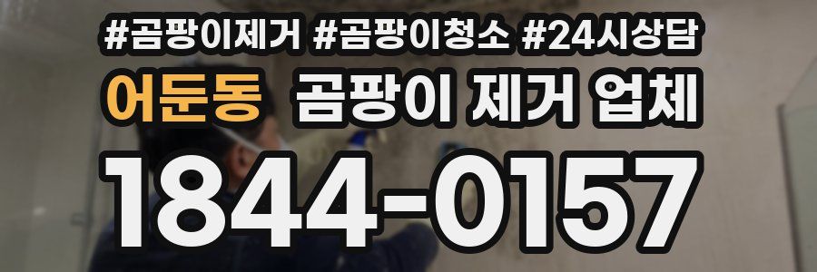 어둔동 곰팡이 제거 업체